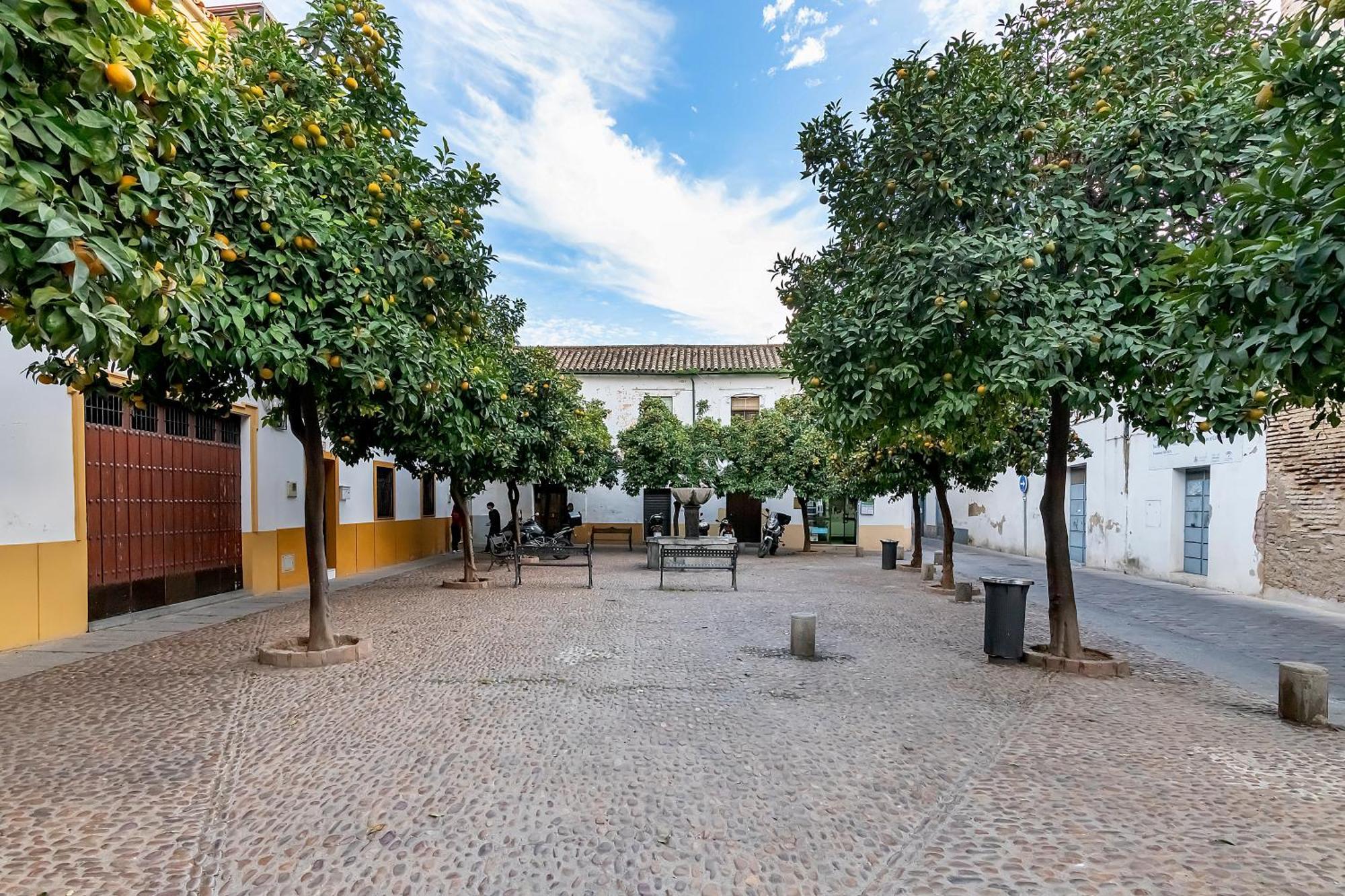 Bhost - Yayo Pepe Apartment Cordoba Exterior photo